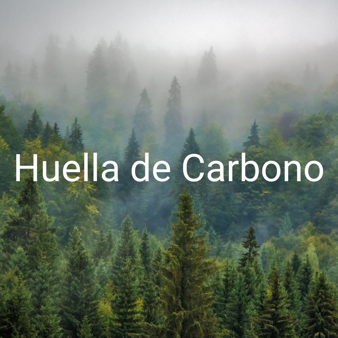 Huella de Carbono Organizacional