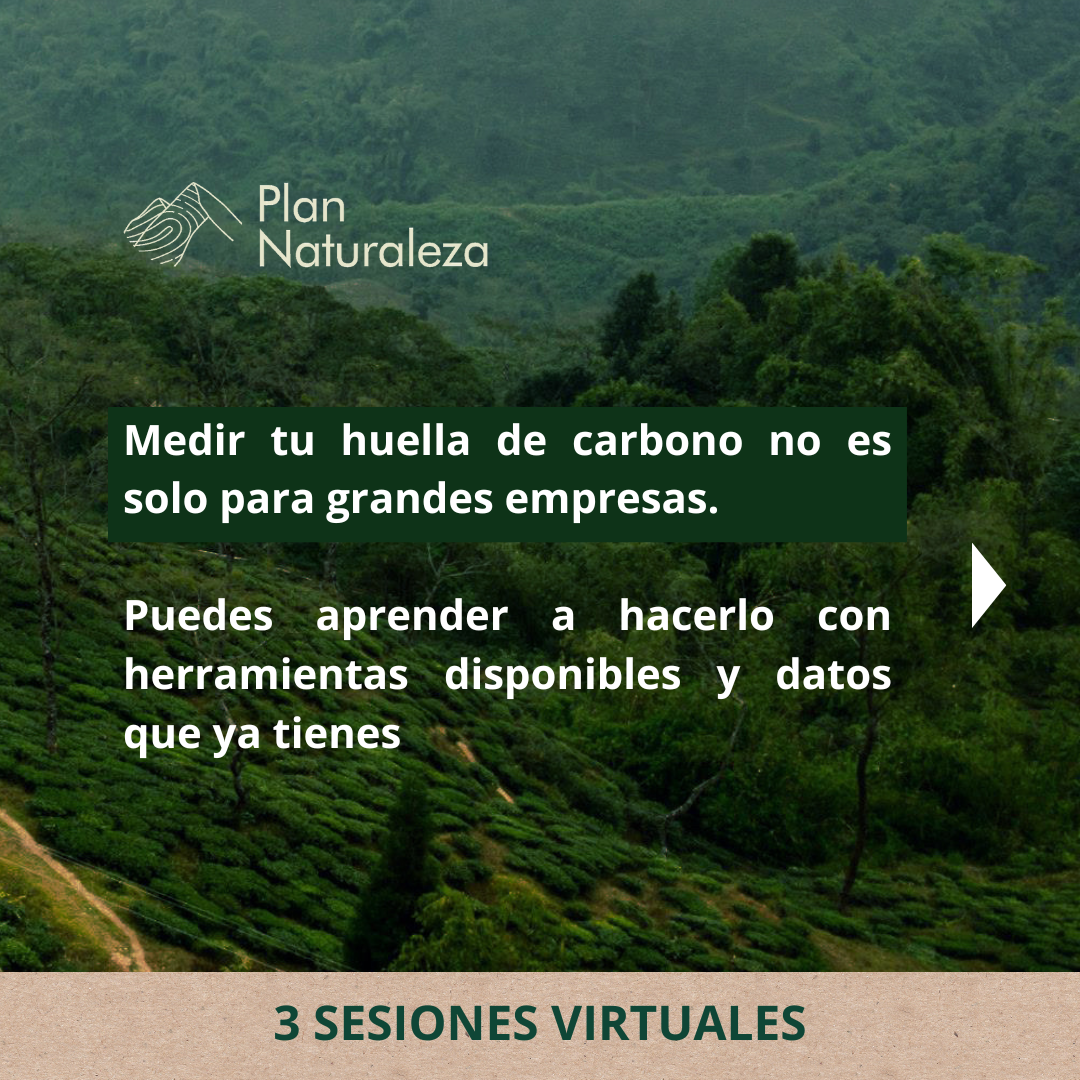 Curso: Comprende y Aplica la Huella de Carbono en tu Empresa