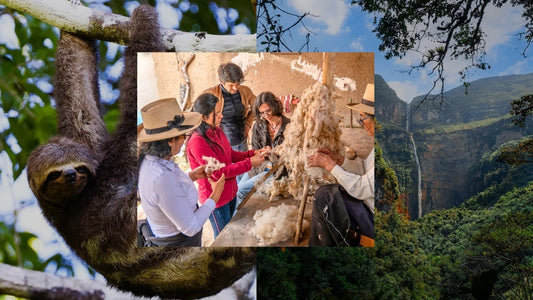 Aliado de Plan Naturaleza / Phima Voyages: Viajes con propósito