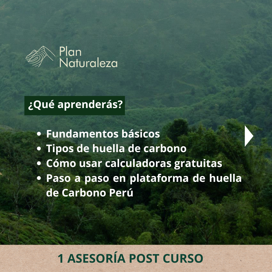 Curso: Comprende y Aplica la Huella de Carbono en tu Empresa