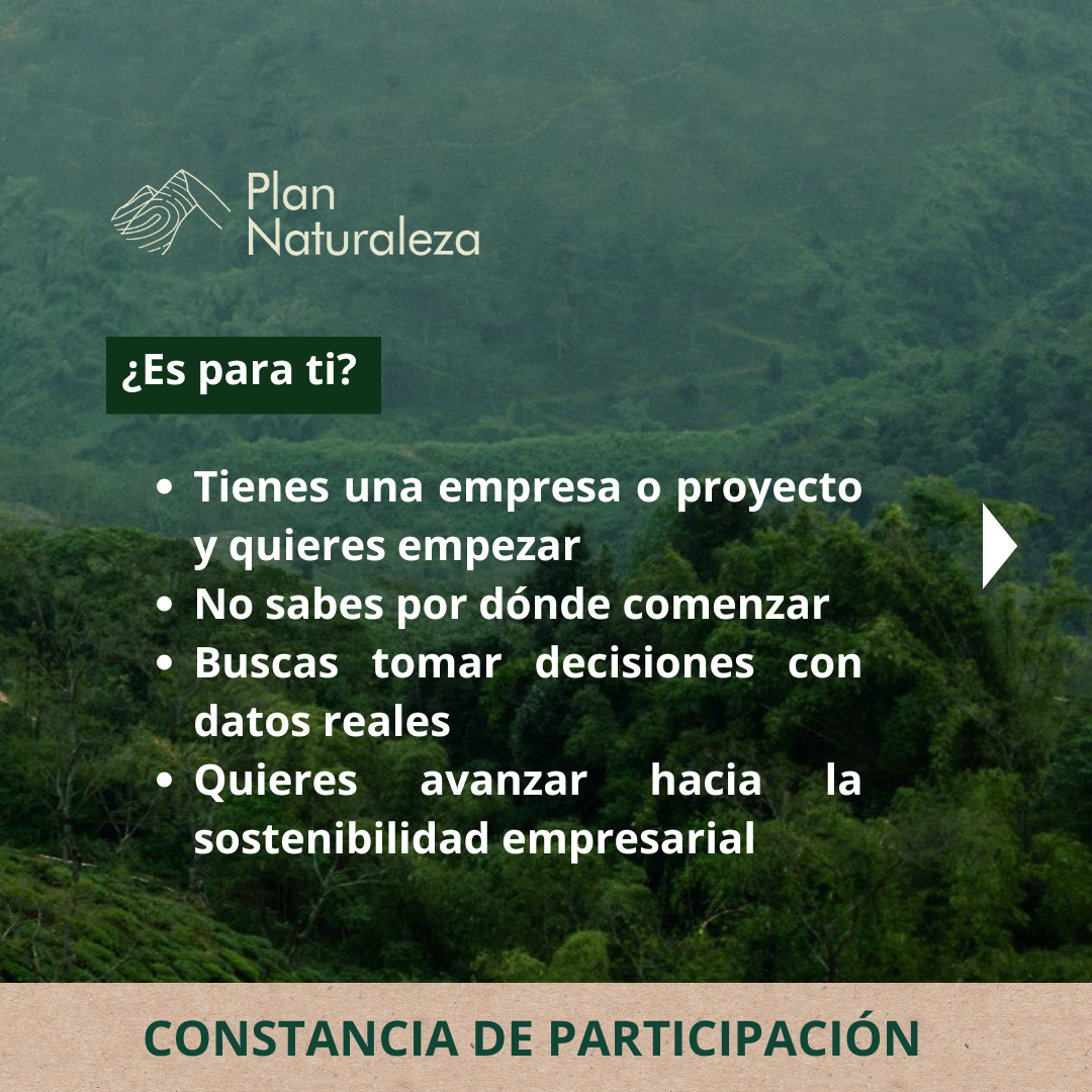 Curso: Comprende y Aplica la Huella de Carbono en tu Empresa