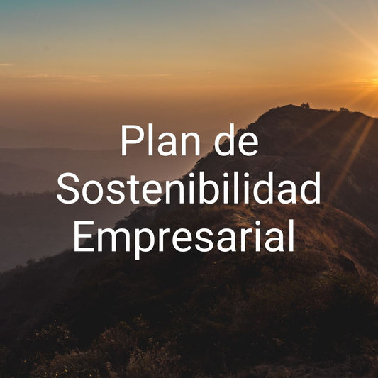 Plan de Sostenibilidad Empresarial