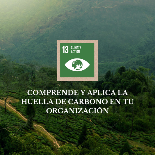 Curso: Comprende y Aplica la Huella de Carbono en tu Empresa